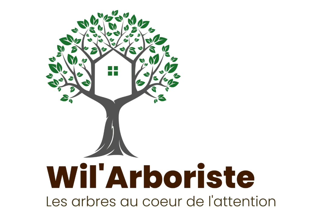 Logo Wil'Arboriste