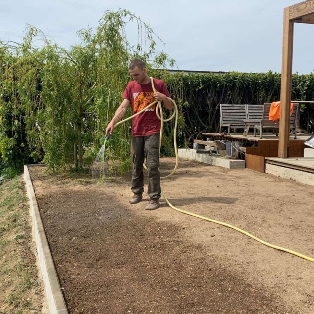 Plantation d'arbre
